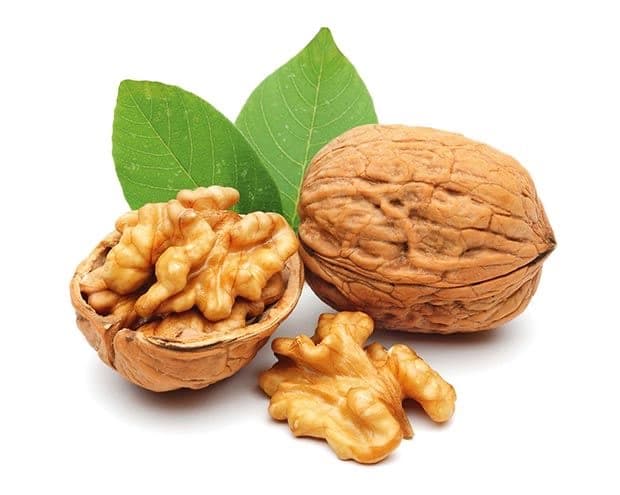 Walnut