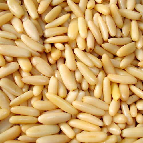 Pinenut Kernels – Premium Quality