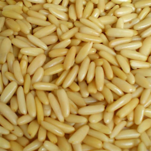 Pinenut Kernels – Deluxe Pack